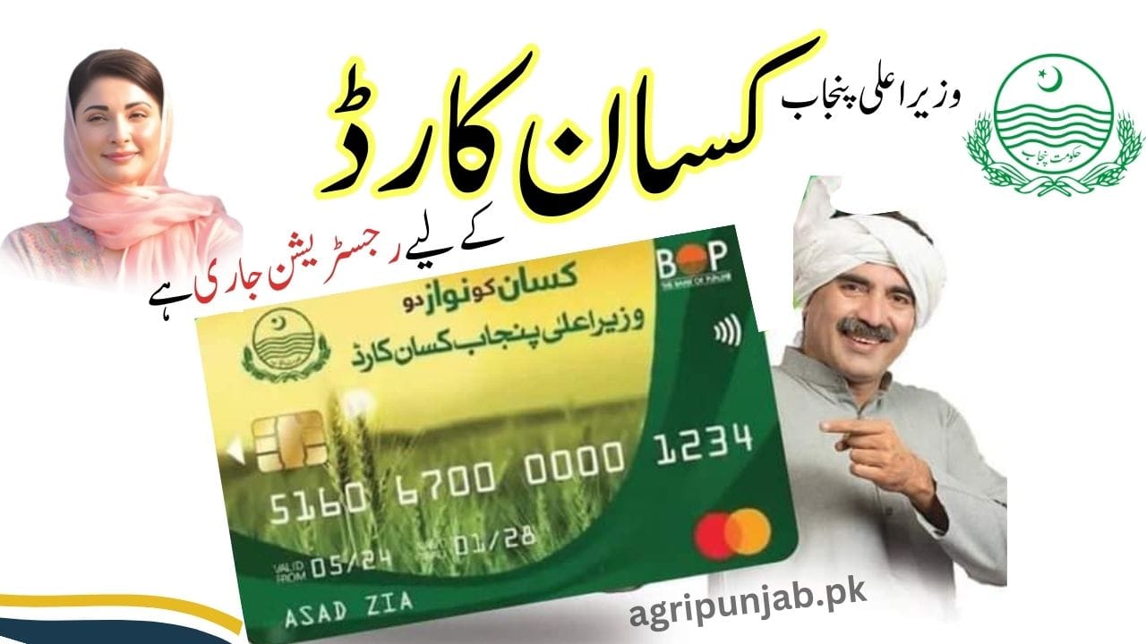 Kisan card registration Punjab online check