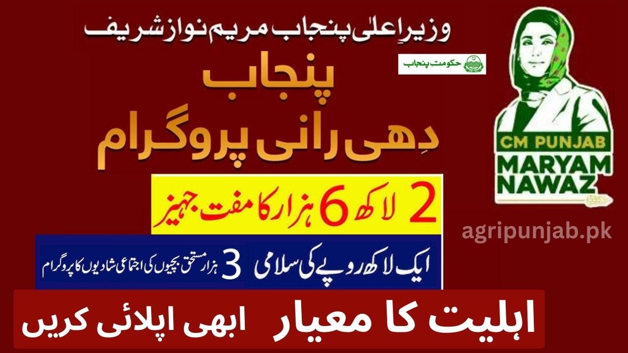 Punjab Dhee Rani Program