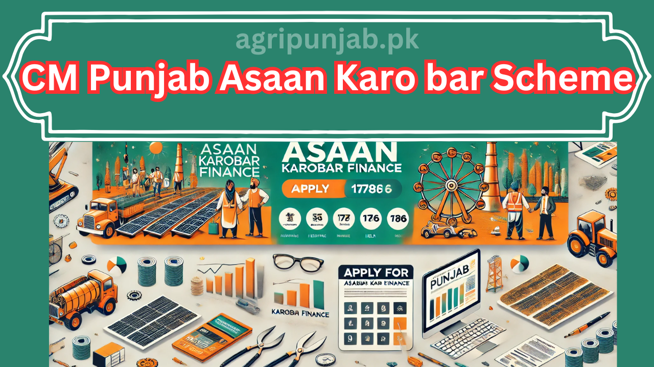 CM Punjab Asaan Karo bar Scheme